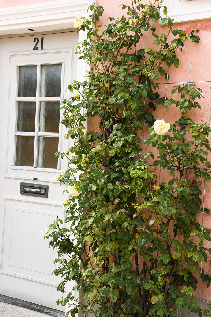 visby4