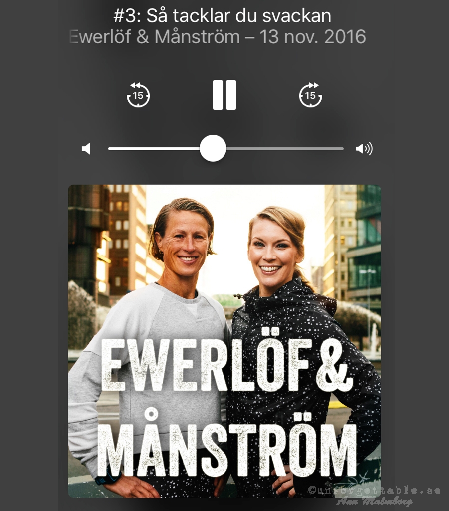 CIRKELFYS EWERLÖF & MÅNSTRÖM