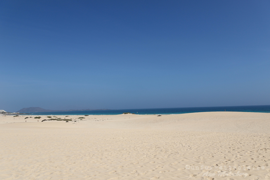 DUNAS DE CORRALEJO NATURAL PARK FUERTEVENTURA