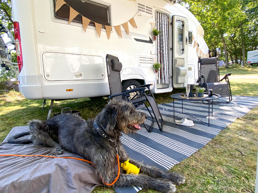 Eriksöre camping Öland husbilsliv