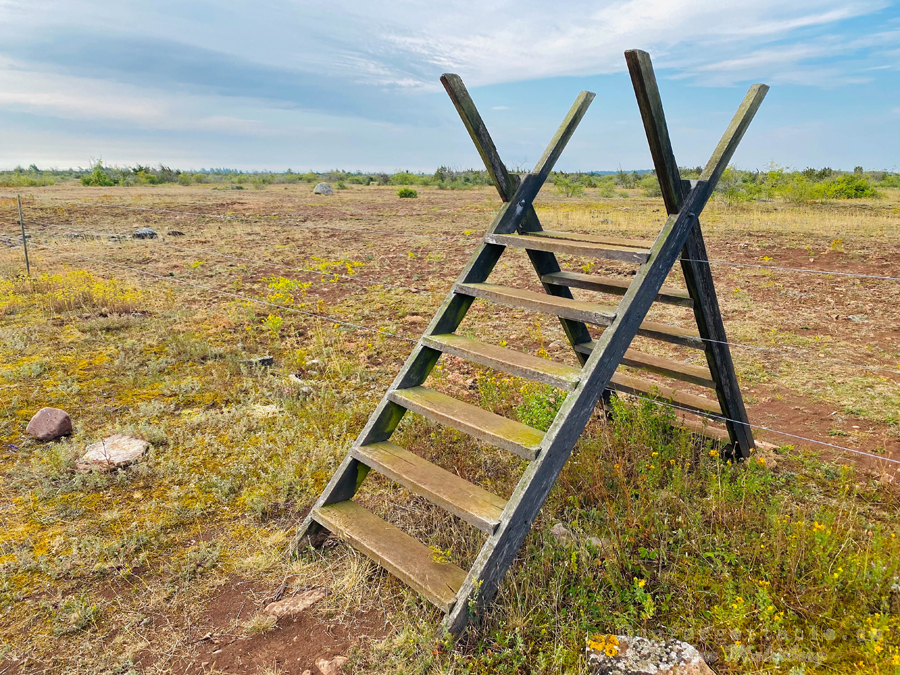 Alvaret Öland 