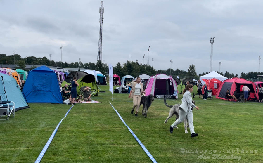 Kerberoz första utställning Eskilstuna