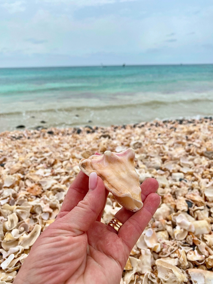 Shell Cemetery Beach, Santa Maria, Sal, Kap Verde, Afrika