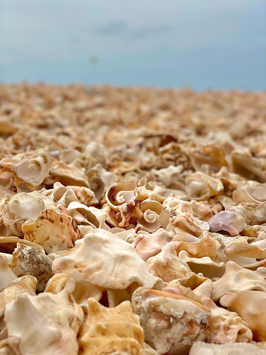 Shell Cemetery Beach, Santa Maria, Sal, Kap Verde, Afrika