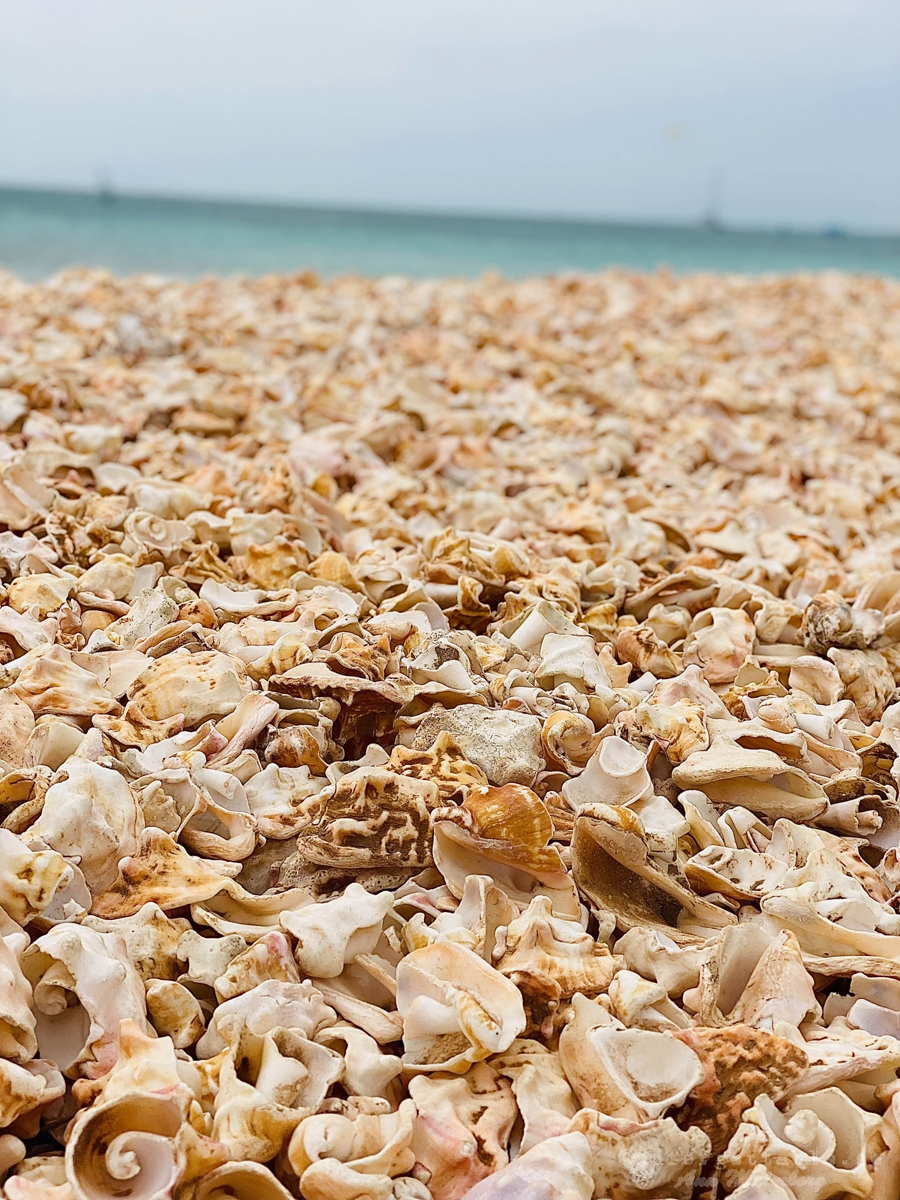 Shell Cemetery Beach, Santa Maria, Sal, Kap Verde, Afrika