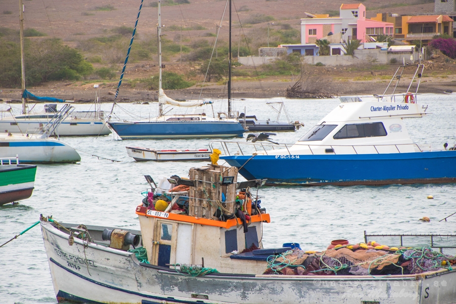 Palmeira, Sal, Kap Verde, Afrika