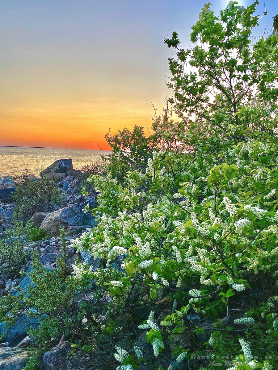 Sikhjälma, Kapplasse och Marskär