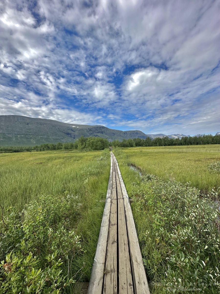 Vandring från Nikkaluokta till Láddjujávri & Kebnekaise fjällstation