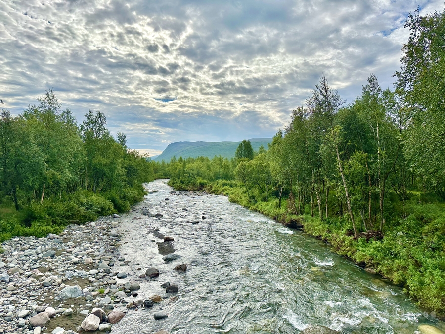Vandring från Nikkaluokta till Láddjujávri & Kebnekaise fjällstation