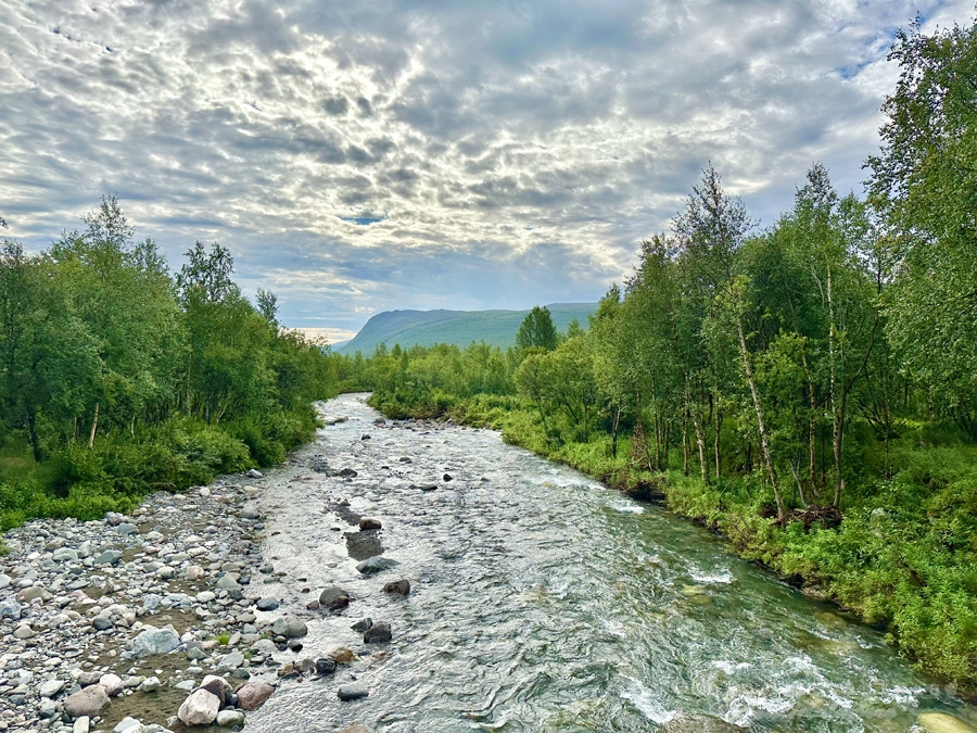 Vandring från Nikkaluokta till Láddjujávri & Kebnekaise fjällstation