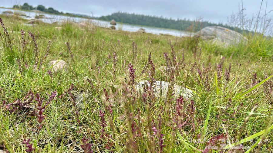 Slada ställplats